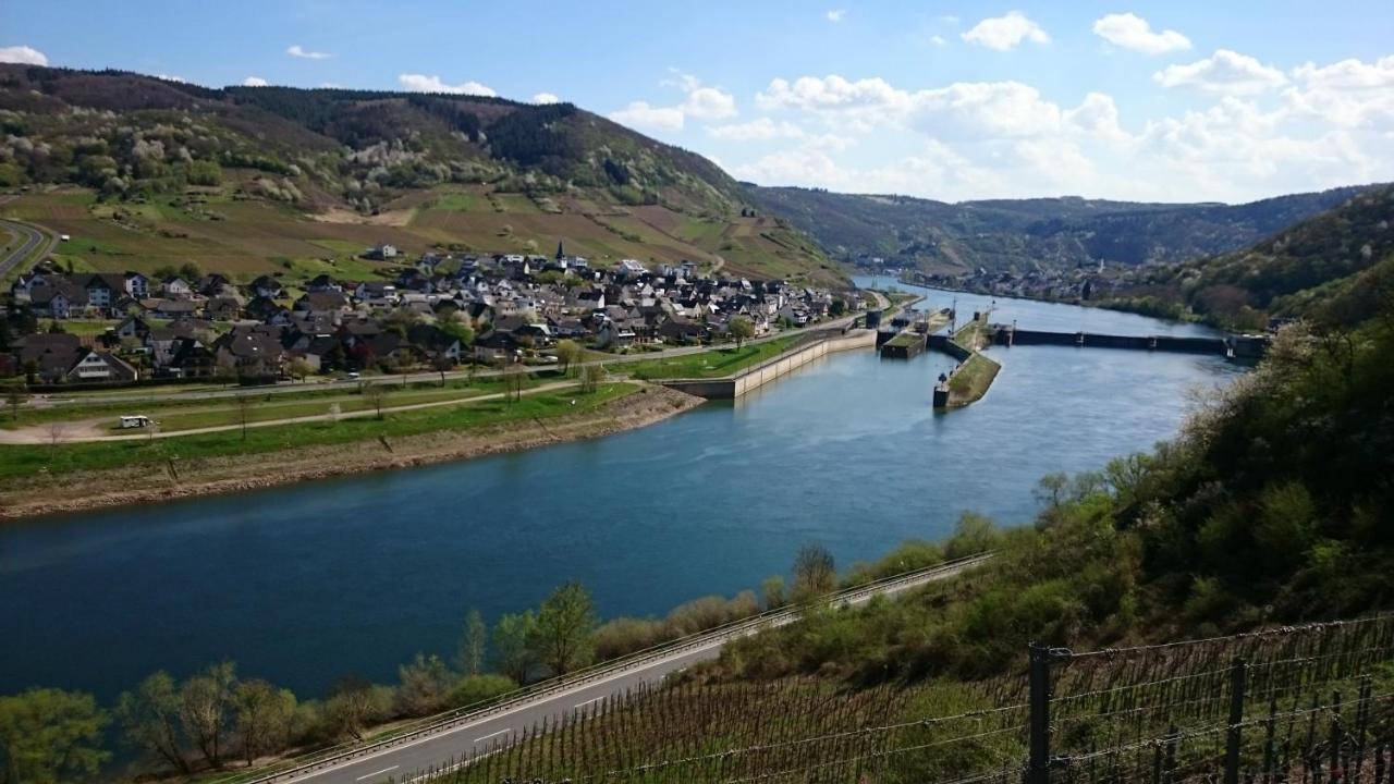 Ferienwohnungen Am Bruttiger Moselsteig Екстер'єр фото