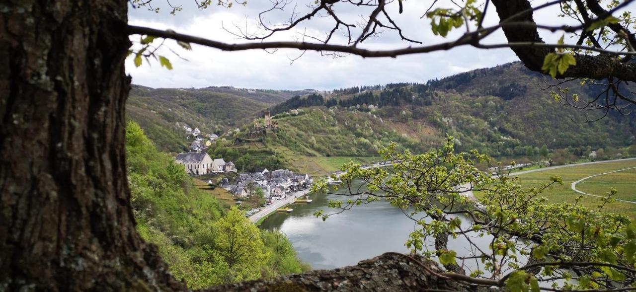 Ferienwohnungen Am Bruttiger Moselsteig Екстер'єр фото