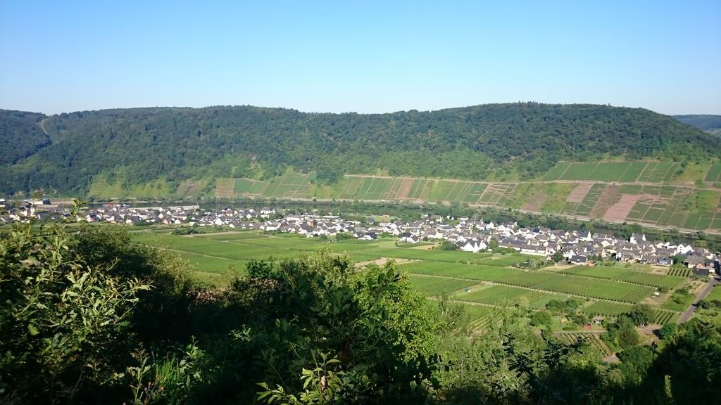 Ferienwohnungen Am Bruttiger Moselsteig Екстер'єр фото