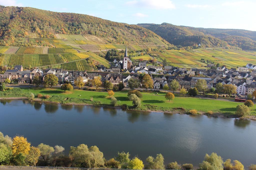 Ferienwohnungen Am Bruttiger Moselsteig Екстер'єр фото