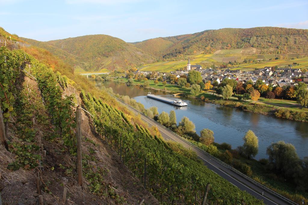 Ferienwohnungen Am Bruttiger Moselsteig Екстер'єр фото